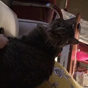 Meet your Posher, Kathy